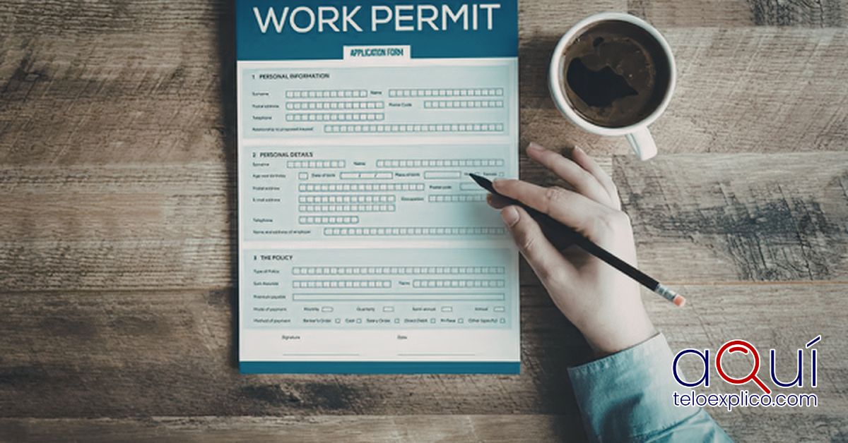 permiso de trabajo visa u